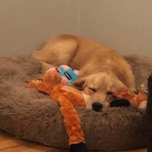 Meet your Posher, Brandi